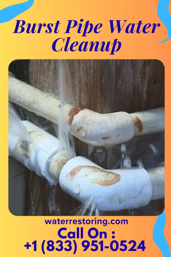 Burst Pipe Water Cleanup in Hilltop, OH