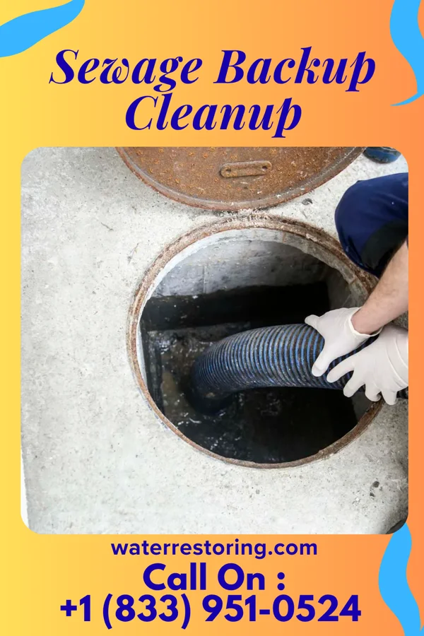 Sewage Backup Cleanup in Hilltop, OH